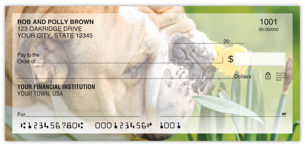 Bulldog Checks