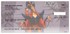 Disney Villains Checks Image 7
